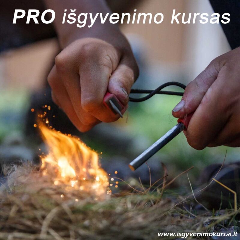 Išgyvenimo kursai Vilniuje